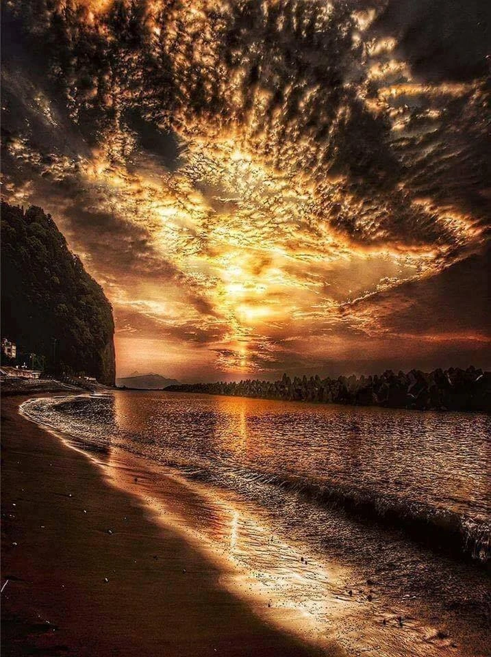 شفق