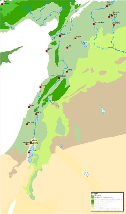 کنعان 