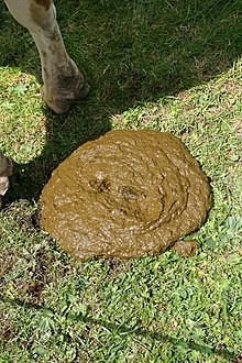 گه